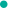 《揭秘搜外蜘蛛池：网络信息搜集的神秘力量》